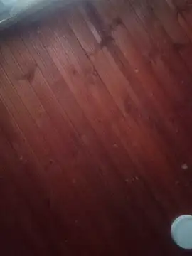 Snapshot of Darly_Gomez chatting on 03-03-25, 10:10 Darly Gomez online show from 03-03-25, 10:10