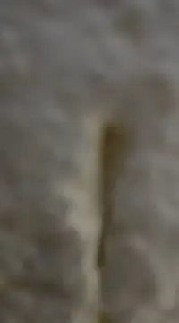 Snapshot of tuty_Tap chatting on 12-07-24, 05:31 tuty Tap online show from 12-07-24, 05:31