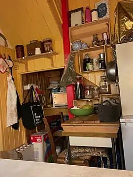 zenzero87 online show from 12-29-24, 04:27