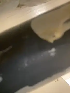 Mme Milahotspicy online show from 10-19-25, 07:03