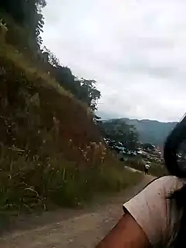 Danna-linyi online show from 01-26-25, 12:54