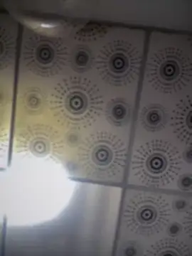 adam-rivera online show from 10-01-25, 05:08