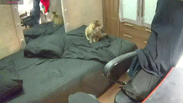 Snapshot of Julia_dolls chatting on 12-14-24, 07:03 Julia dolls online show from 12-14-24, 07:03