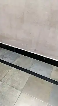 bhavanitelu online show from 03-08-25, 12:09