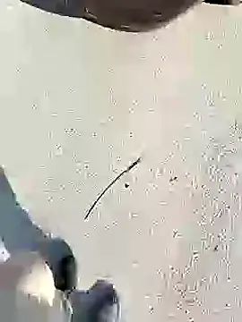 Snapshot of chootkapyasa007 chatting on 01-27-25, 10:06 chootkapyasa007 online show from 01-27-25, 10:06