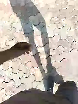 Snapshot of chootkapyasa007 chatting on 09-13-25, 10:48 chootkapyasa007 online show from 09-13-25, 10:48