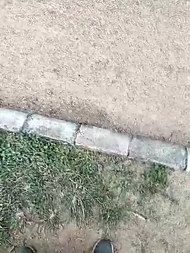 Snapshot of chootkapyasa007 chatting on 10-16-25, 12:17 chootkapyasa007 online show from 10-16-25, 12:17