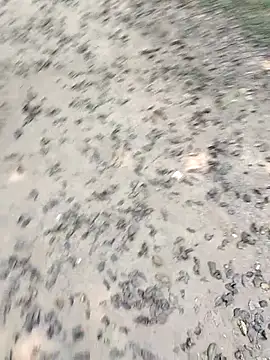 Snapshot of chootkapyasa007 chatting on 10-22-25, 07:19 chootkapyasa007 online show from 10-22-25, 07:19