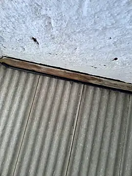 alexjs84 online show from 11-22-25, 03:44