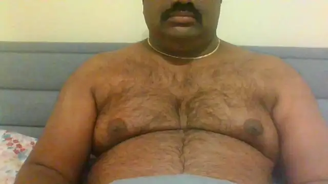 indianbearbot online show from 12-28-24, 08:47