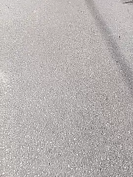 Eleni Pappa online show from 03-11-26, 10:21