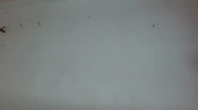 Snapshot of _amira_dalila chatting on 12-27-24, 03:37 amira dalila online show from 12-27-24, 03:37