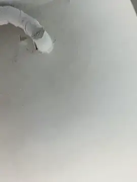 ekskekejejej online show from 09-28-25, 02:55