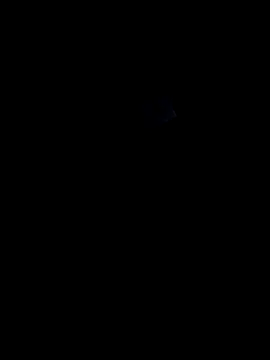lokillo- 3000 online show from 03-15-25, 04:13