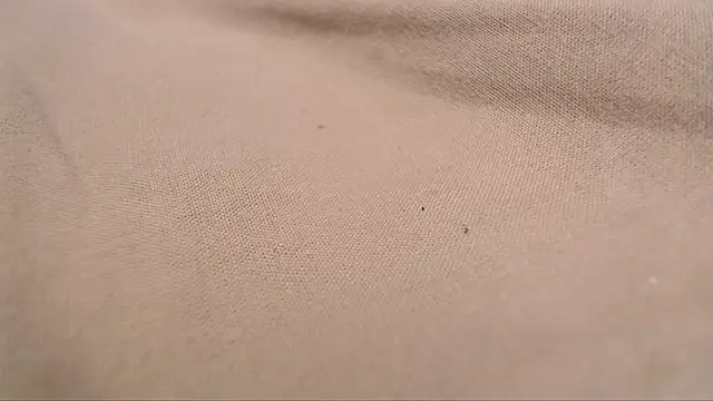 Lona-s online show from 04-08-26, 11:21