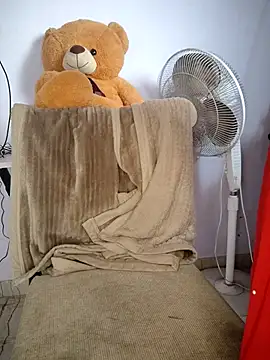 lovelygirl4567 online show from 11-10-25, 04:11