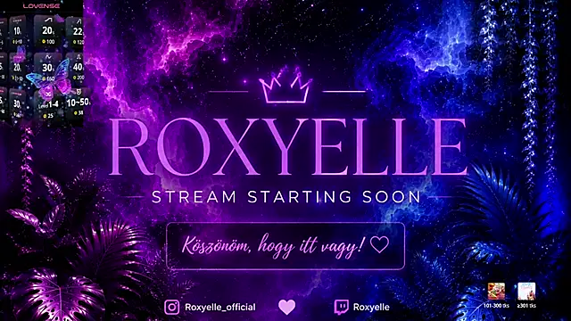 Snapshot of roxyyyrose chatting on 07-09-26, 09:19 roxyyyrose online show from 07-09-26, 09:19
