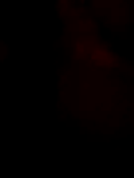 Leefin09 online show from 01-31-26, 10:08