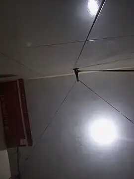 acuarela online show from 01-11-25, 09:04