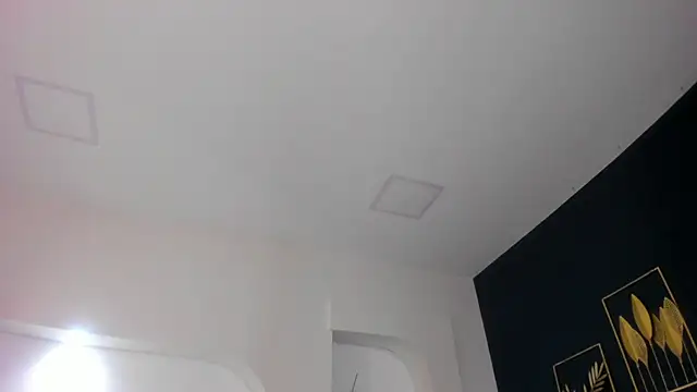 sara  jones gh online show from 11-26-25, 04:41