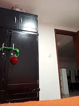 mmarvis za78 93 21cm online show from 11-28-25, 07:27