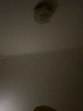                     88 online show from 03-07-26, 04:15