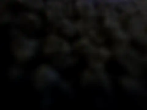 Snapshot of ximo0069 chatting on 01-20-25, 01:18 ximo0069 online show from 01-20-25, 01:18