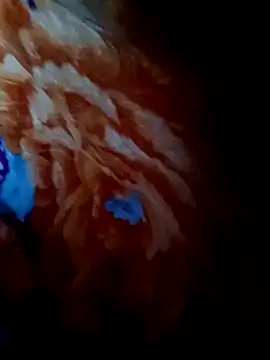 rameshjisex online show from 11-12-25, 01:17