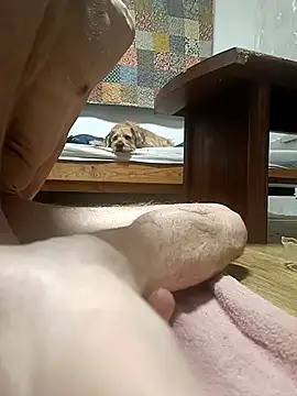 Bisexualhard23 online show from 01-18-26, 12:58