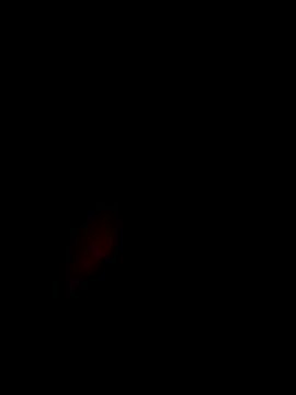 Snapshot of xxxxGuruxxxx chatting on 03-10-25, 06:38 xxxxGuruxxxx online show from 03-10-25, 06:38