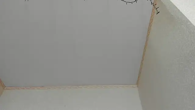 Browni Kiss online show from 01-16-25, 07:49