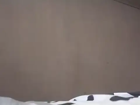 Chandy012 online show from 03-19-25, 01:18