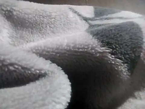 LaneYam online show from 03-12-26, 08:26