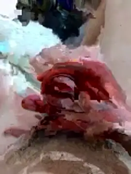 pussyhoneyhot online show from 02-19-26, 09:00