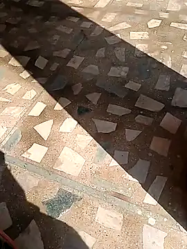 Raj41 online show from 11-13-25, 04:44