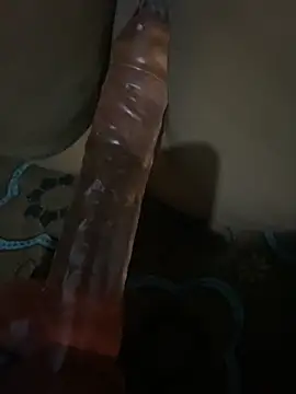 SL Aki online show from 04-14-26, 08:26