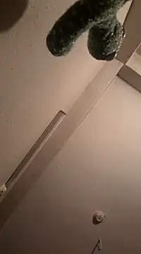 RaviRoy2326 online show from 03-01-25, 08:10