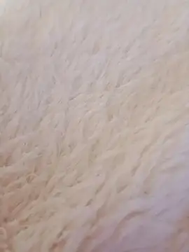 feketedemon36 online show from 01-21-25, 09:15