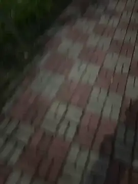 Phil 6677 online show from 10-12-25, 06:51