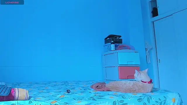 alice guzman1 online show from 04-29-26, 05:17