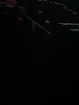 Snapshot of Mo_2003 chatting on 01-28-25, 08:04 Mo 2003 online show from 01-28-25, 08:04