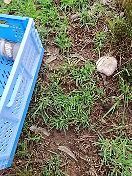 Snapshot of RichardHard_1 chatting on 01-17-26, 09:07 RichardHard 1 online show from 01-17-26, 09:07