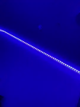 DaniJohnson online show from 02-07-25, 03:19