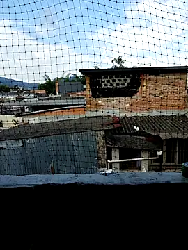 Niick01  online show from 11-09-25, 08:40