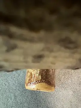 Snapshot of fuocovivo4 chatting on 01-30-25, 11:11 fuocovivo4 online show from 01-30-25, 11:11