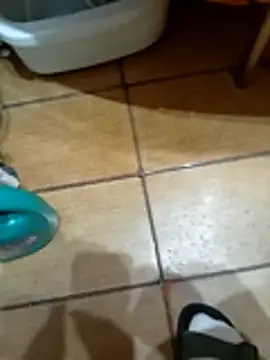 NAvoglia online show from 03-12-26, 11:55