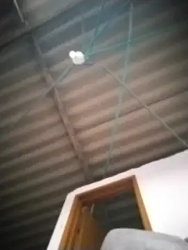 Snapshot of Ariell_Kieran chatting on 07-02-26, 10:38 Ariell Kieran online show from 07-02-26, 10:38