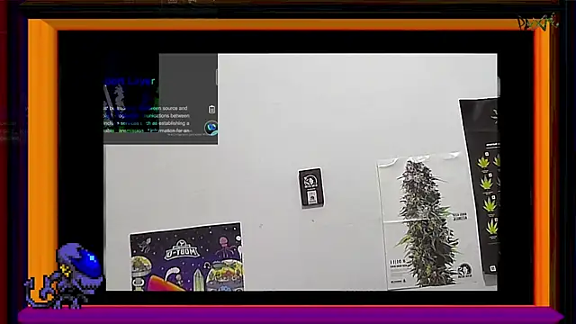 Snapshot of ReyDeBotones chatting on 03-14-25, 09:00 ReyDeBotones online show from 03-14-25, 09:00