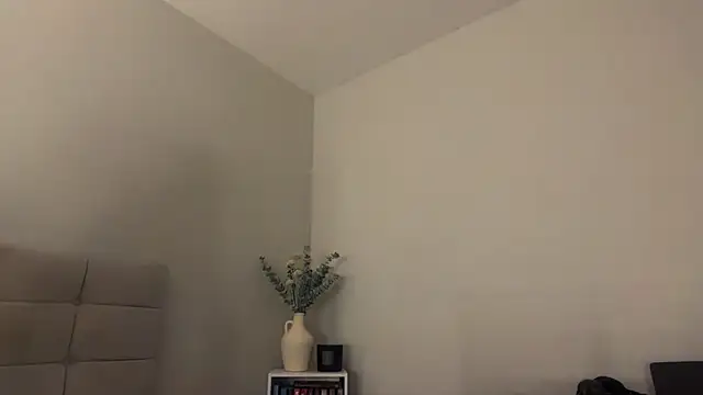 skyejde online show from 04-05-26, 09:45