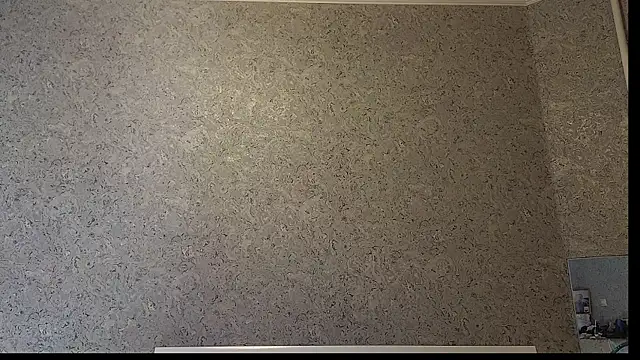 DemiDee online show from 12-15-25, 08:24